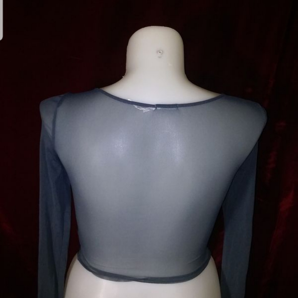 Sheer Blouse - image 2
